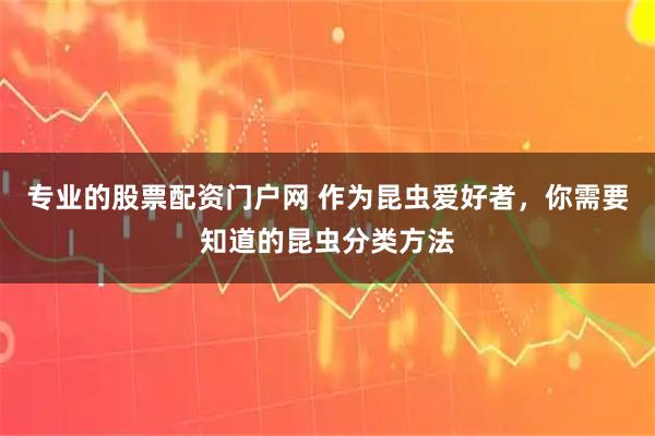 专业的股票配资门户网 作为昆虫爱好者，你需要知道的昆虫分类方法