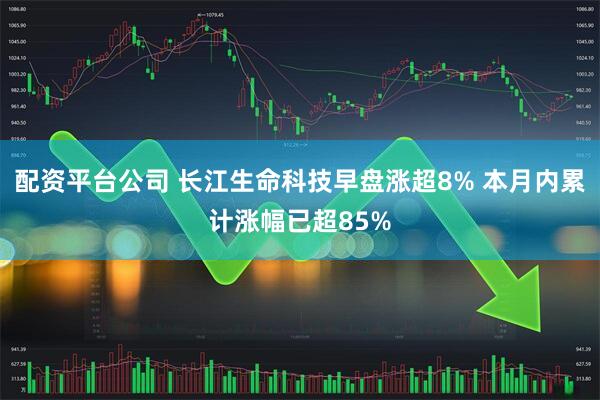 配资平台公司 长江生命科技早盘涨超8% 本月内累计涨幅已超85%