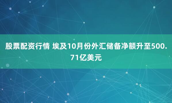 股票配资行情 埃及10月份外汇储备净额升至500.71亿美元