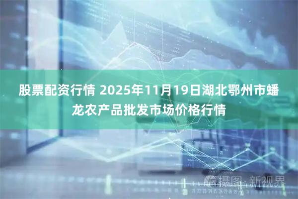 股票配资行情 2025年11月19日湖北鄂州市蟠龙农产品批发市场价格行情